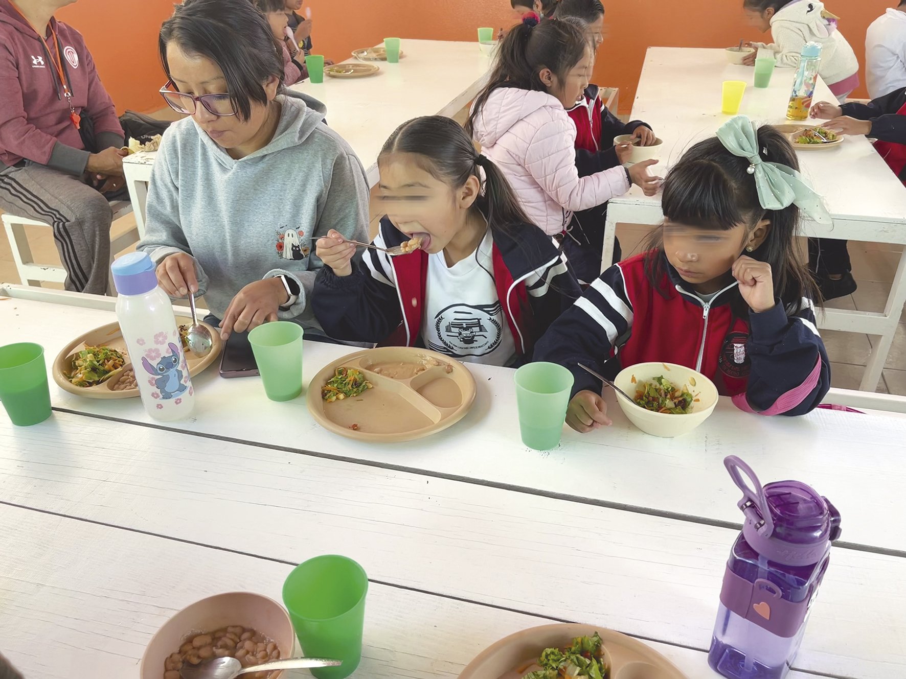 Dirección de Alimentación y Nutrición Familiar